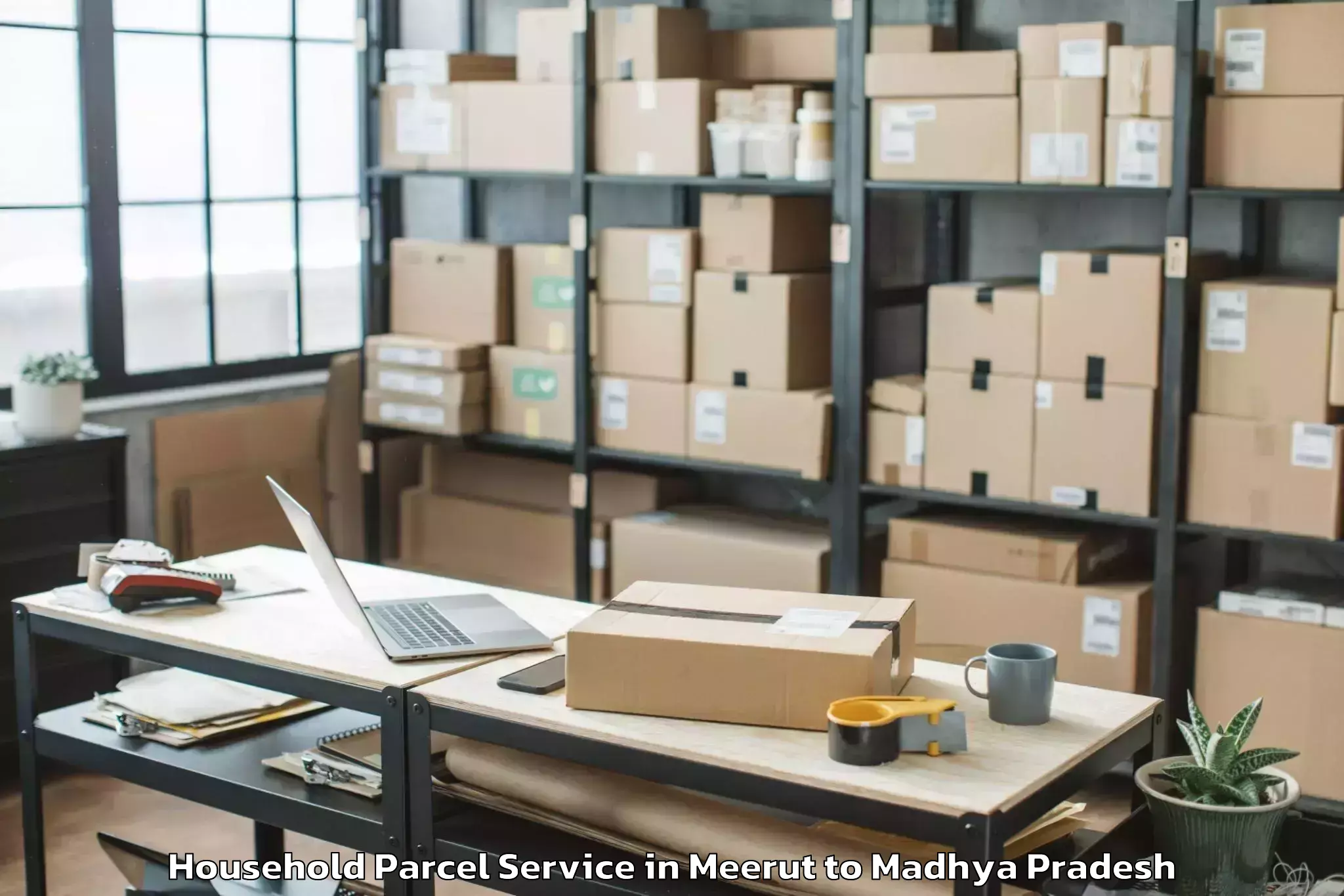 Easy Meerut to Madhyanchal Professional Unive Household Parcel Booking